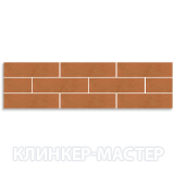 Aquarius-Brown